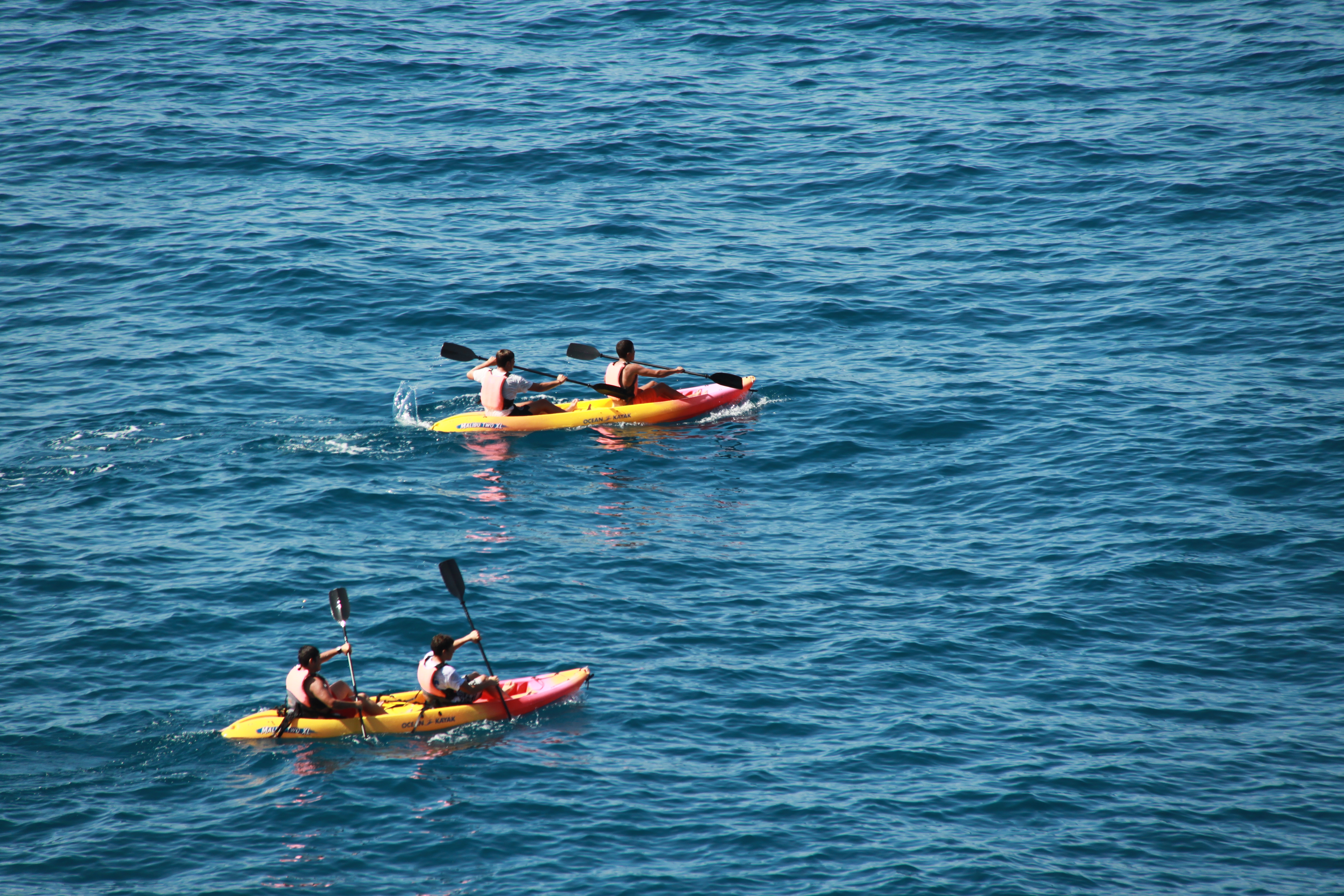 Three tandem kayaks with paddlers navigating calm blue ocean waters during a recreational outing