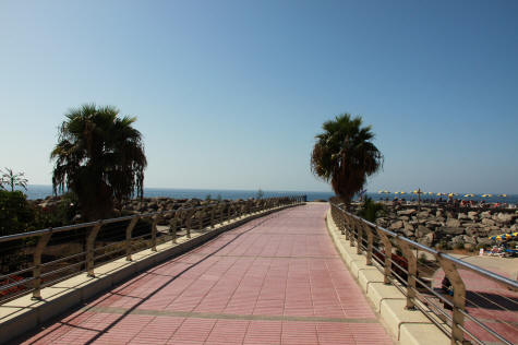 Pink-tiled coastal walkway lined with palm trees leading to the sea and beach umbrellas